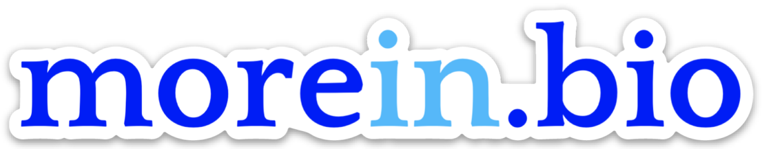 Website logo